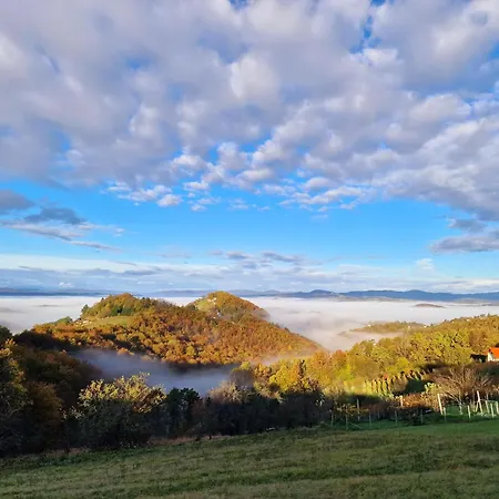 Апартаменты Vineyard Soncni Gric