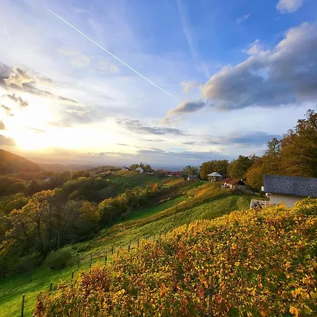 Vineyard Soncni Gric Apartment *