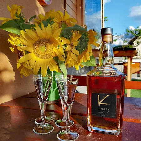 Apartamento Vineyard Soncni Gric Trebnje