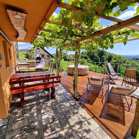 Vineyard Soncni Gric Trebnje