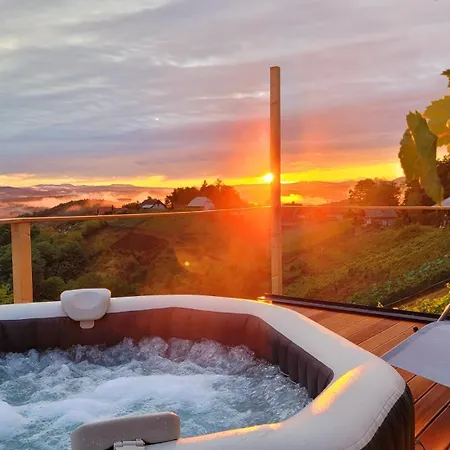 Vineyard Soncni Gric