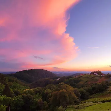 Vineyard Soncni Gric Apartamento *