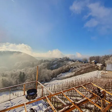 Apartment Vineyard Soncni Gric Trebnje