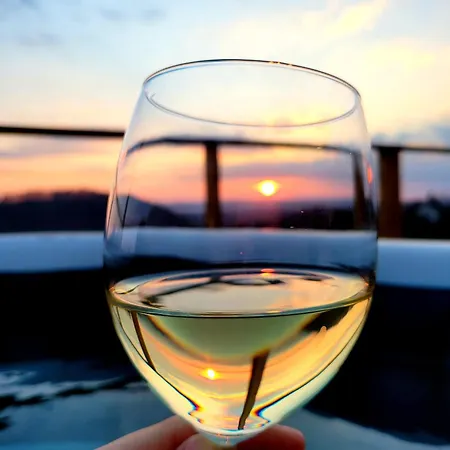 Vineyard Soncni Gric Trebnje