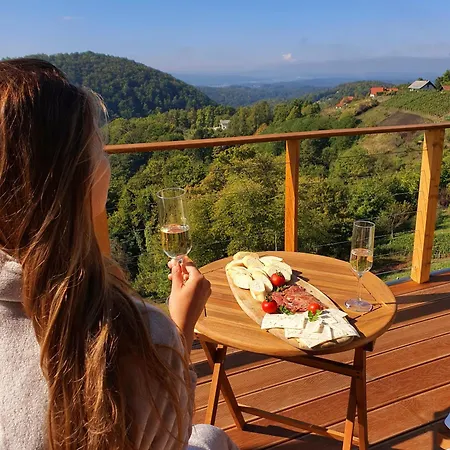 Vineyard Soncni Gric