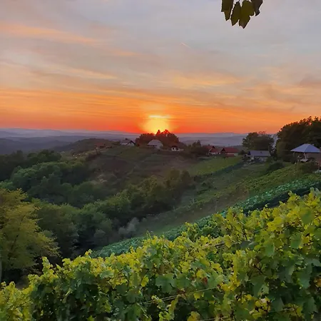 Vineyard Soncni Gric Apartment *