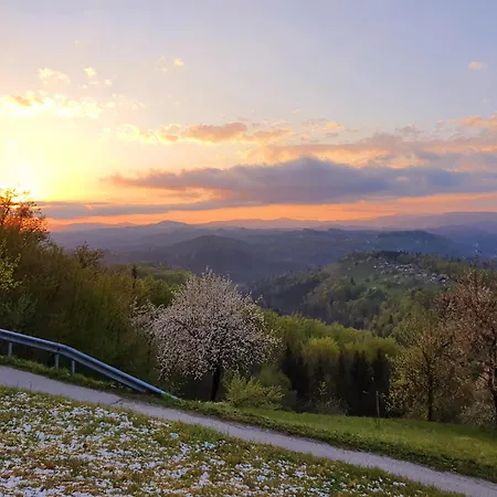 Vineyard Soncni Gric Апартаменты Trebnje