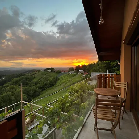 Vineyard Soncni Gric * Trebnje