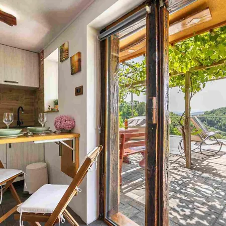 Vineyard Soncni Gric * Trebnje