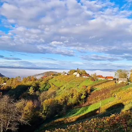 Апартаменты Vineyard Soncni Gric *