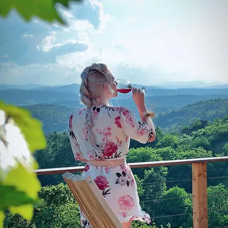 Vineyard Soncni Gric Апартаменты Trebnje