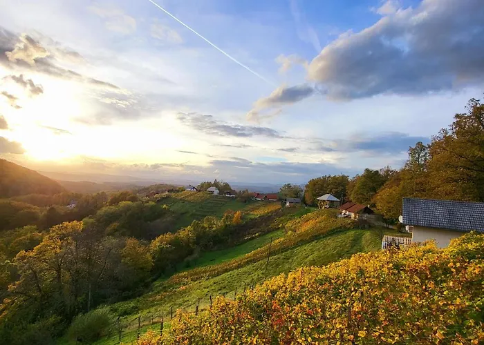 Vineyard Sončni Grič Appartamento *