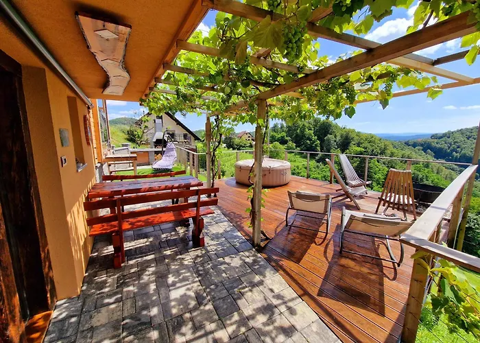 Vineyard Sončni Grič Trebnje