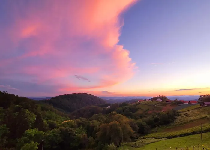 Vineyard Sončni Grič Appartamento *