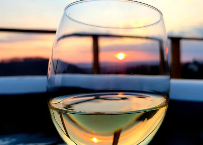 Vineyard Sončni Grič Trebnje