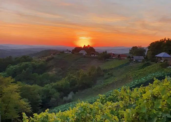 Vineyard Sončni Grič Appartamento *
