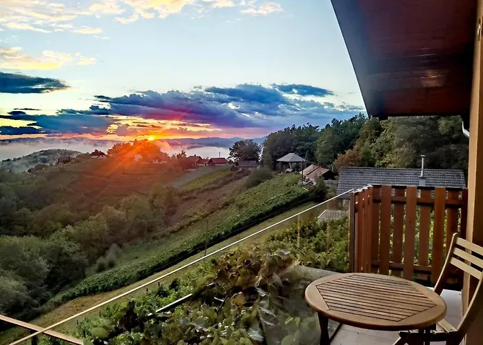 Vineyard Sončni Grič